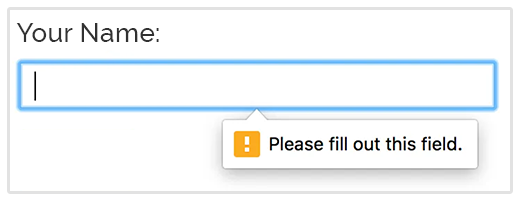 Required Input Field